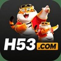h53